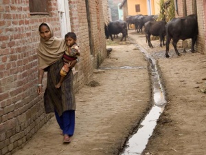 a street in the village